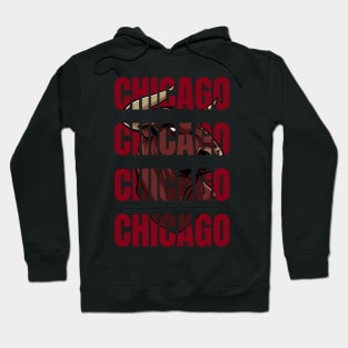 Bull of Chicago Hoodie